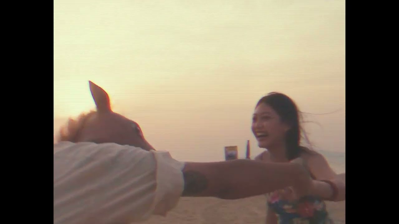 ฉากโรแมนติก (Romantic scene) - macaw and the flowers 歌詞